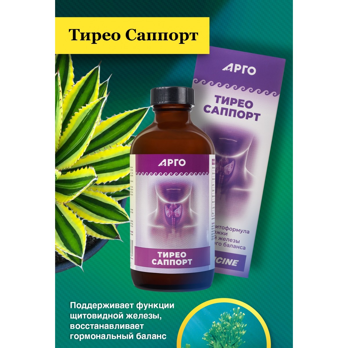 Тирео Саппорт коллоидный для щитовидной железы, купите в Арго, отзывы