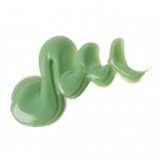 Паста зубная Аргодент Хвоя, 75 мл