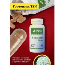 Гортензия TSN, капсулы, 60 шт
