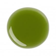 Сироп с хлорофиллом Фитолон, 100 мл